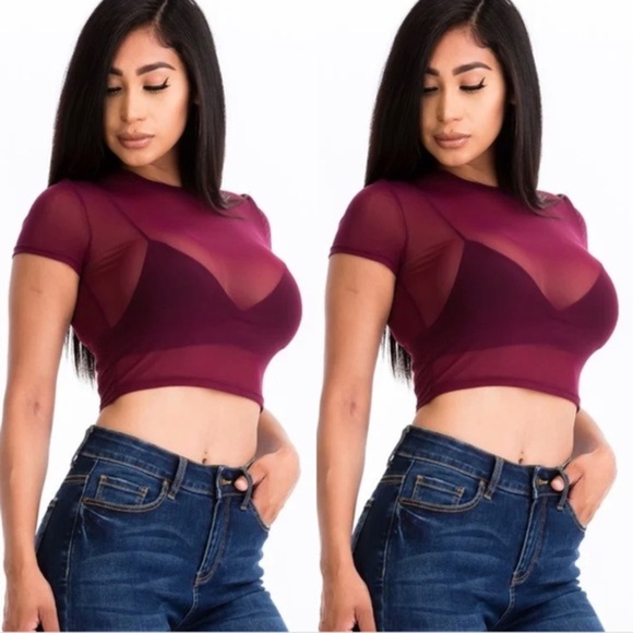 BURGUNDY SHORT SLEEVE SHEER MESH CROPPED TOP SHIRT SEE-THROUGH - Picture 1 of 2